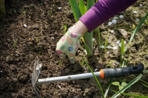 The Best Weeding Tools-weeding a garden