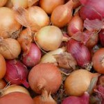 Onions-regrow-vegetables-from-kitchen-scraps