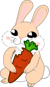 Bunny holding a carrot-carrot-juice-benefits