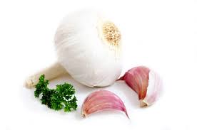Vertical Grow Bags-garlic