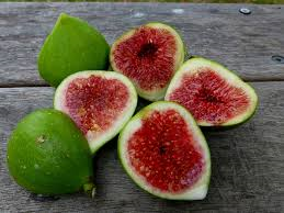 Figs-fig-health-benefits