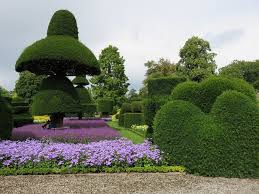 Topiary Garden-topiary-garden-design