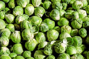 Brussel sprouts-Growing brussel spouts