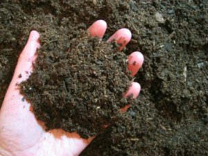 7 Vegetable Garden Care and Maintenance tips-a-hand-with-garden-soil