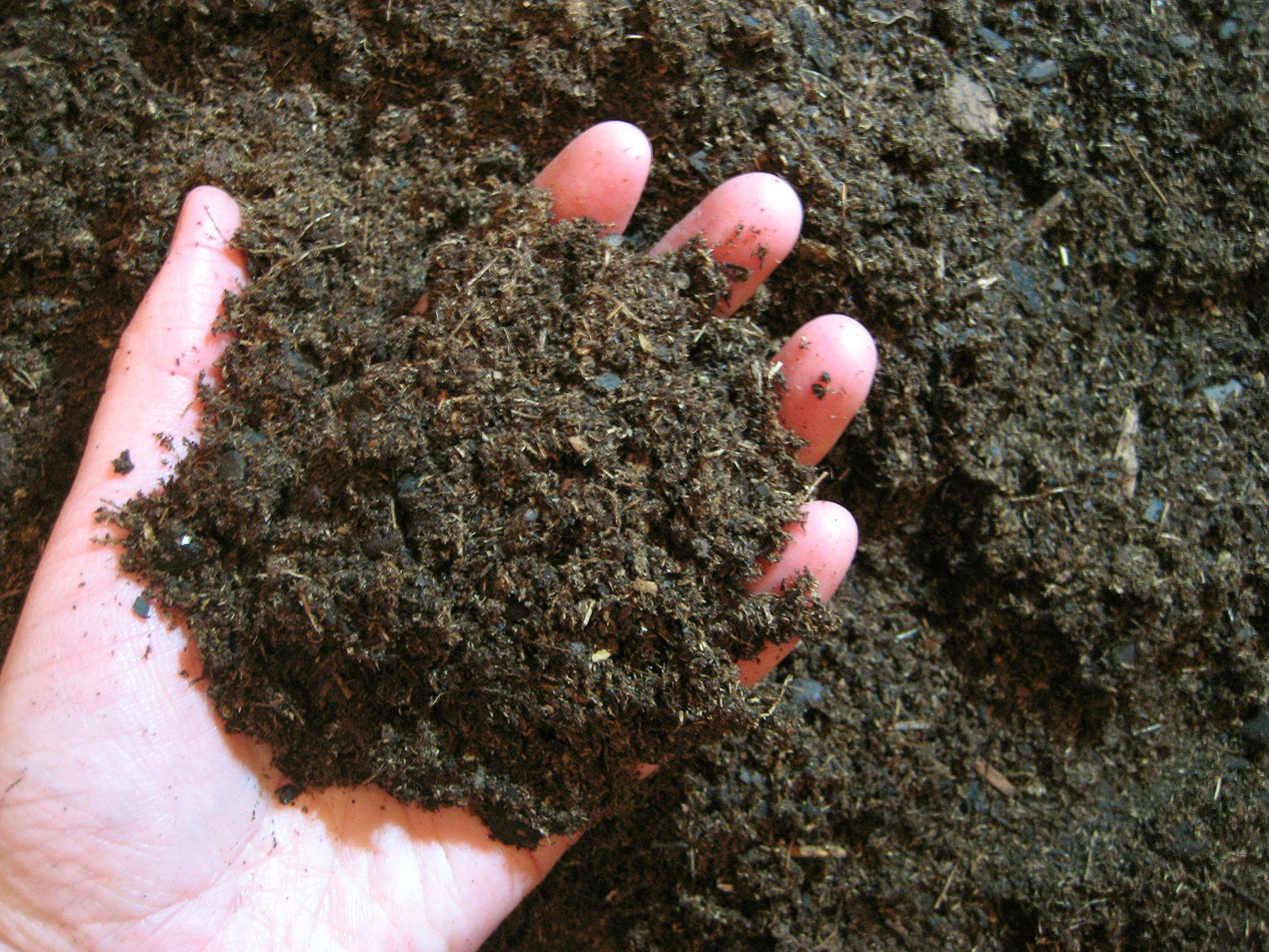 How To Feed Your Soil In The Fall-garden-soil