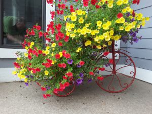bike-with-flowers-cottage garden ideas