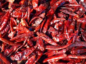 Dry chilli peppers-growing-chilli-peppers