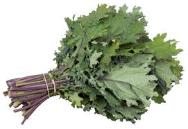 Kale-growing-kale-in-the-home-garden 