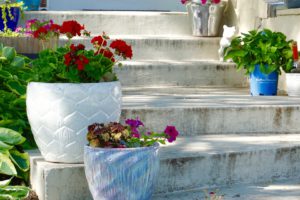 Flower Container Ideas For Full Sun-container-plants