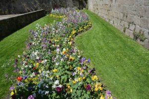 How To Kill Grass In Flower Beds-a-flower-bed