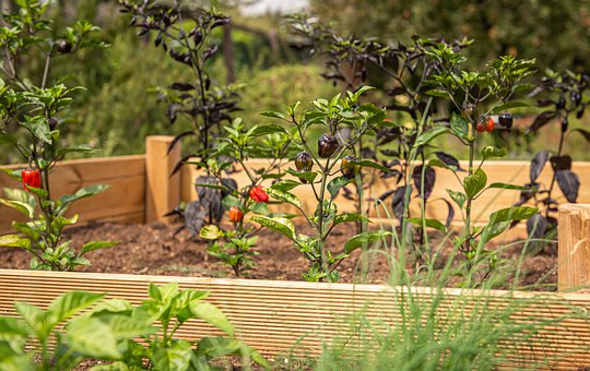 How To Prepare A Raised Bed Garden For Fall-a-raised-bed-garden
