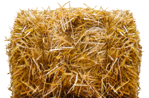 Straw Bale Gardening-straw-bale