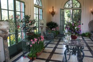 Indoor Gardening For Seniors-and-indoor-garden