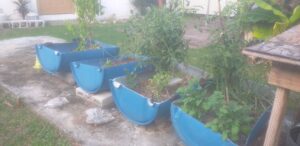 Container Raised Bed Garden-growing-edible-foods