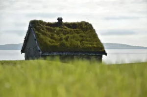 How Do You Make A Living Roof-a-roof-with-turf