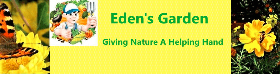 EDEN'S GARDEN