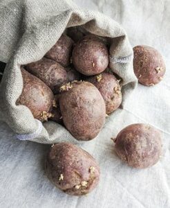 Growing Potatoes In Grow Bags-potato-bag-sack