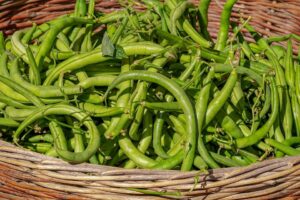 Plants That Add Nitrogen To Soil-bush-beans
