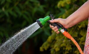 Watering Plants In Hot Weather-a-water-hose