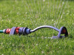 Fall Lawn Care Tips For South Florida-sprinkler-watering-grass