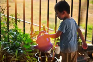Wildlife Gardening For Kids-a-boy-watering-plants