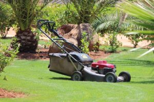 How To Drain Gas From A Lawnmower-a-lawnmower