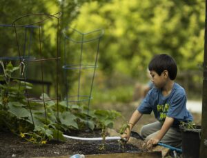 How To Build A Snack Garden For Kids-a-boy-watering-plants