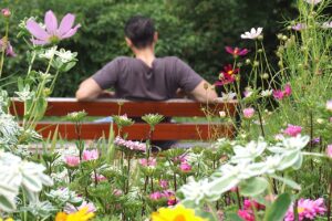 How To Make A Healing Garden-a-man-in-the -garden