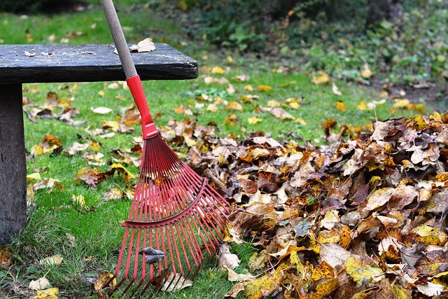 Protecting Polinators And Wildlife In Fall Garden Cleanup-raking-leaves