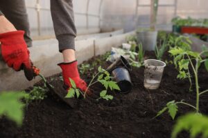 How To Amend Store Bought Soil